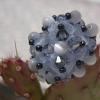 Bague baroque