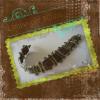 Bracelet Iroise